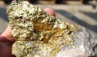 窝边草追着兔子跑 窝边草追着兔子跑